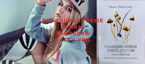 хмурый Зерноград