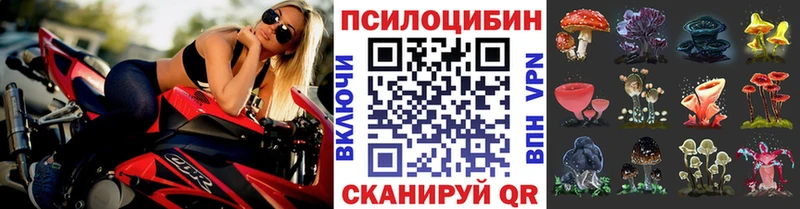 Галлюциногенные грибы мицелий Купить где Боровичи